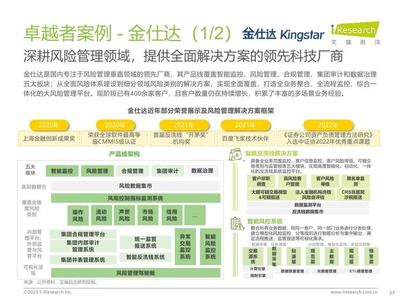 2023年中國資本市場(chǎng)風(fēng)險(xiǎn)管理IT服務(wù)市場(chǎng)研究報(bào)告 風(fēng)險(xiǎn)管理咨詢服務(wù)篇